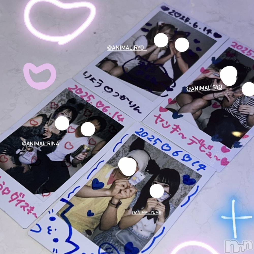 ʥå륺С󥻥ץȥե ˤޤ(󥻥ץȥե˥ޥ륭奦ǥ) ʤ618̥֥618 1702ʬΥ֥