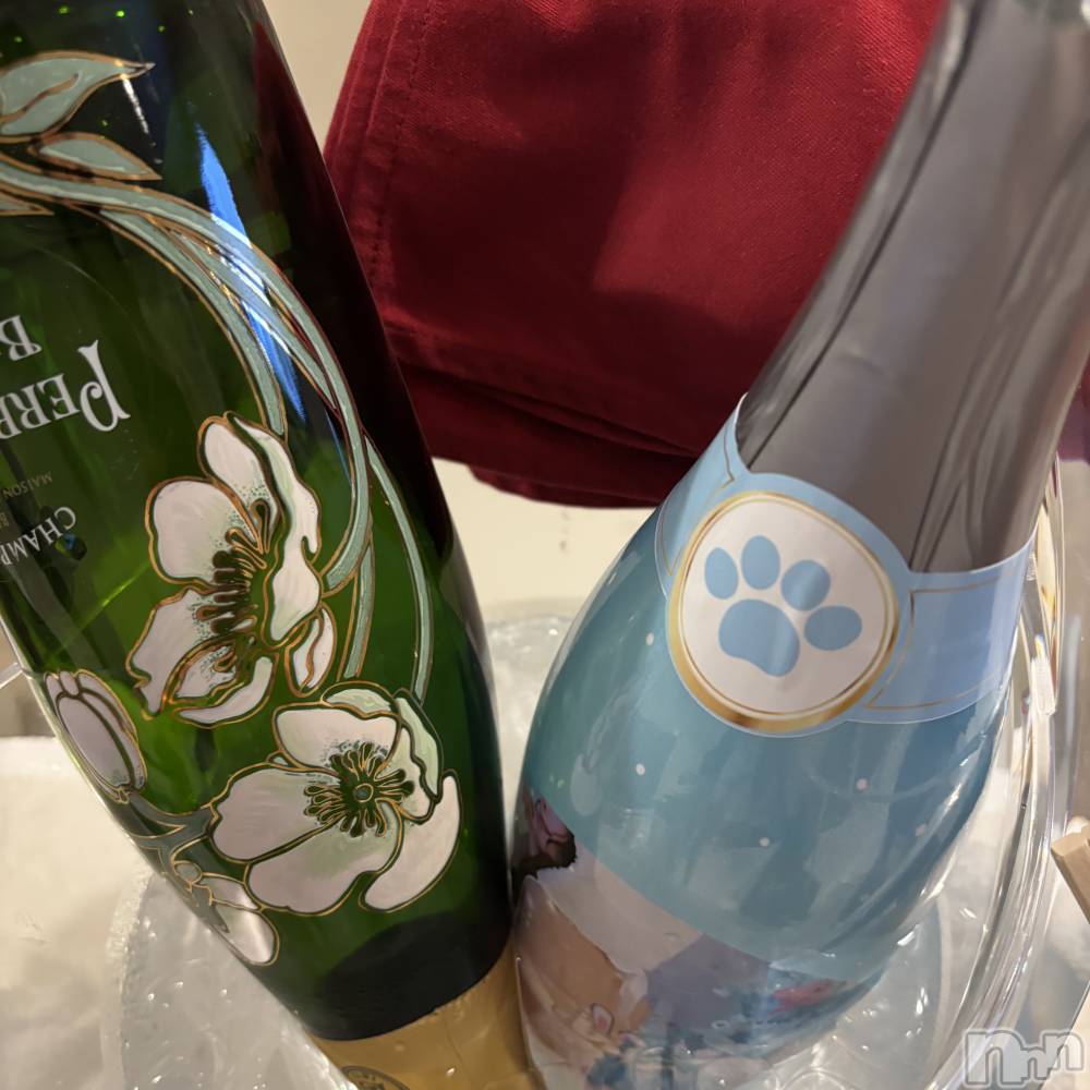 ʥå륺С󥻥ץȥե ˤޤ(󥻥ץȥե˥ޥ륭奦ǥ) ʤ113̥֥113 0928ʬΥ֥