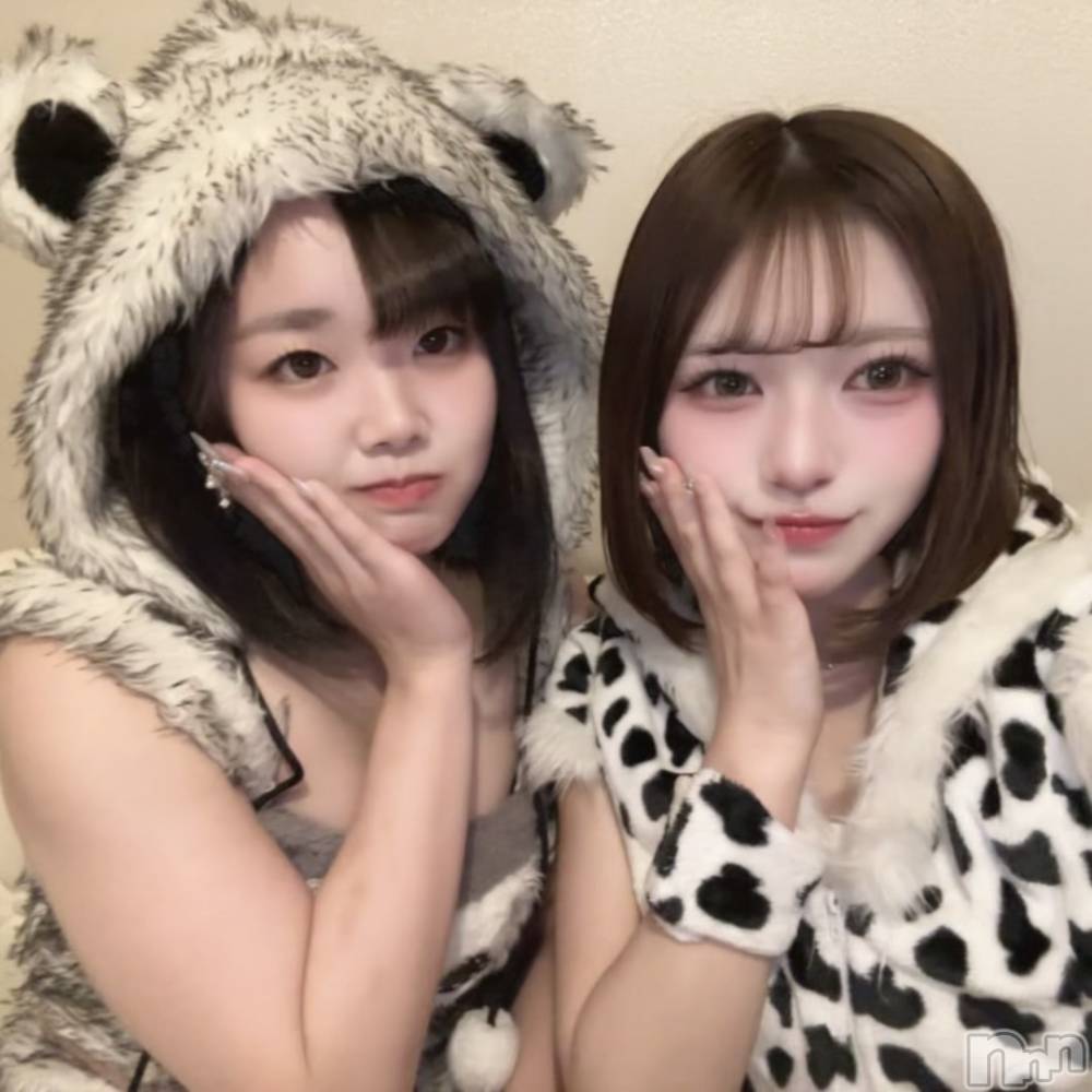 ʥå륺С󥻥ץȥե ˤޤ(󥻥ץȥե˥ޥ륭奦ǥ) ʤ1114̥֥1114 2340ʬΥ֥