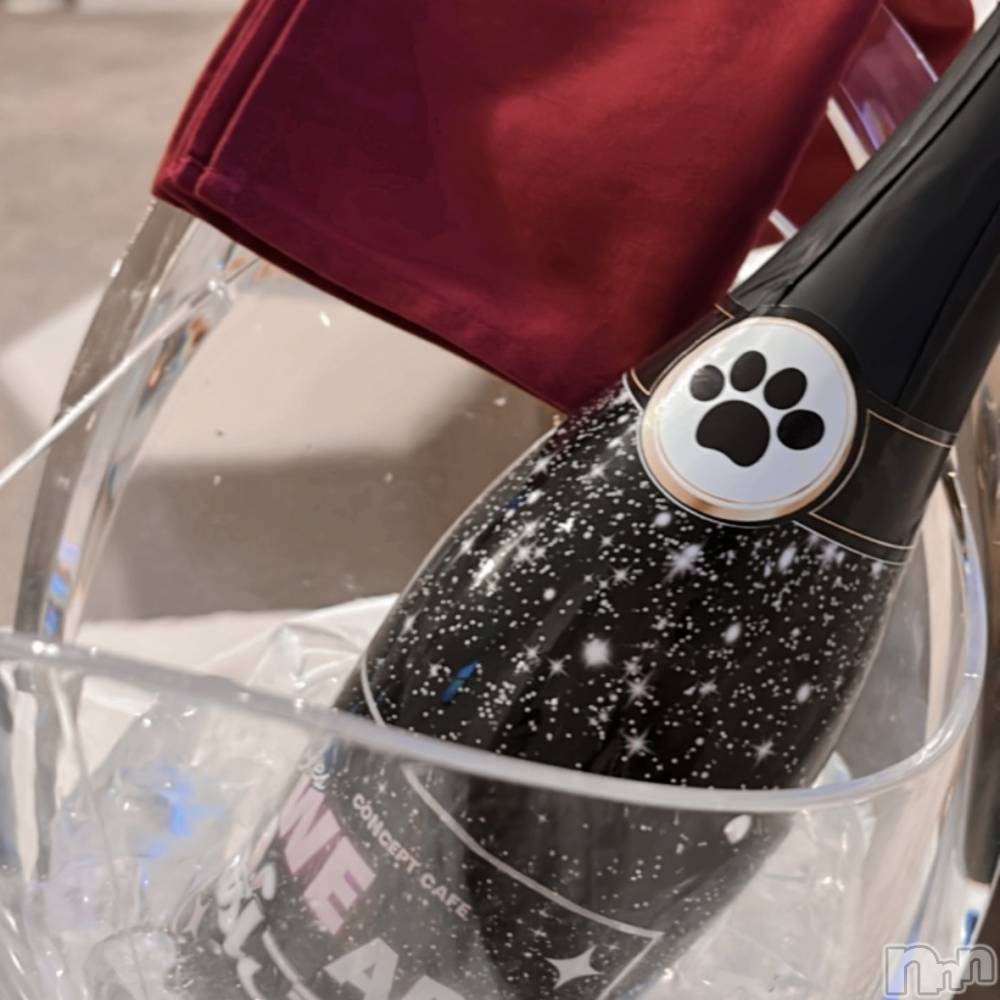 ����������ʥå��������륺�С����󥻥ץȥ��ե� ���ˤޤ����(���󥻥ץȥ��ե����˥ޥ륭�奦�ǥ�) ��ʤ�1��31���̥�֥�����1��31�� 03��12ʬ�Υ֥�����