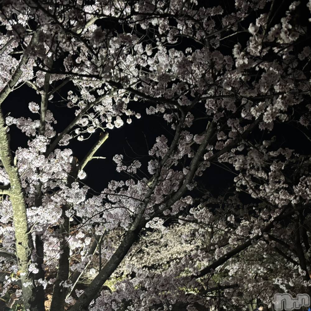 ����������ʥå��������륺�С����󥻥ץȥ��ե� ���ˤޤ����(���󥻥ץȥ��ե����˥ޥ륭�奦�ǥ�) ��ʤ�4��9���̥�֥�����4��9�� 01��01ʬ�Υ֥�����