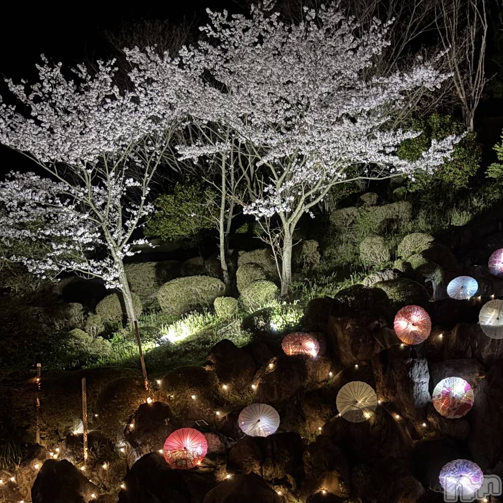 ����������ʥå��������륺�С����󥻥ץȥ��ե� ���ˤޤ����(���󥻥ץȥ��ե����˥ޥ륭�奦�ǥ�) ��ʤ�4��17���̥�֥�����4��17�� 20��43ʬ�Υ֥�����