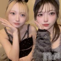 ʥå륺С󥻥ץȥե ˤޤ(󥻥ץȥե˥ޥ륭奦ǥ) ʤ719̥֥719 2301ʬΥ֥