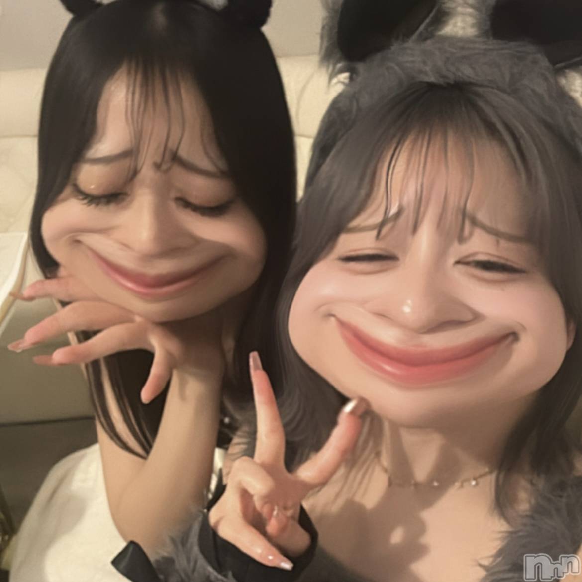 ʥå륺С󥻥ץȥե ˤޤ(󥻥ץȥե˥ޥ륭奦ǥ) 2025ǯ120̥֥120 2316ʬΥ֥