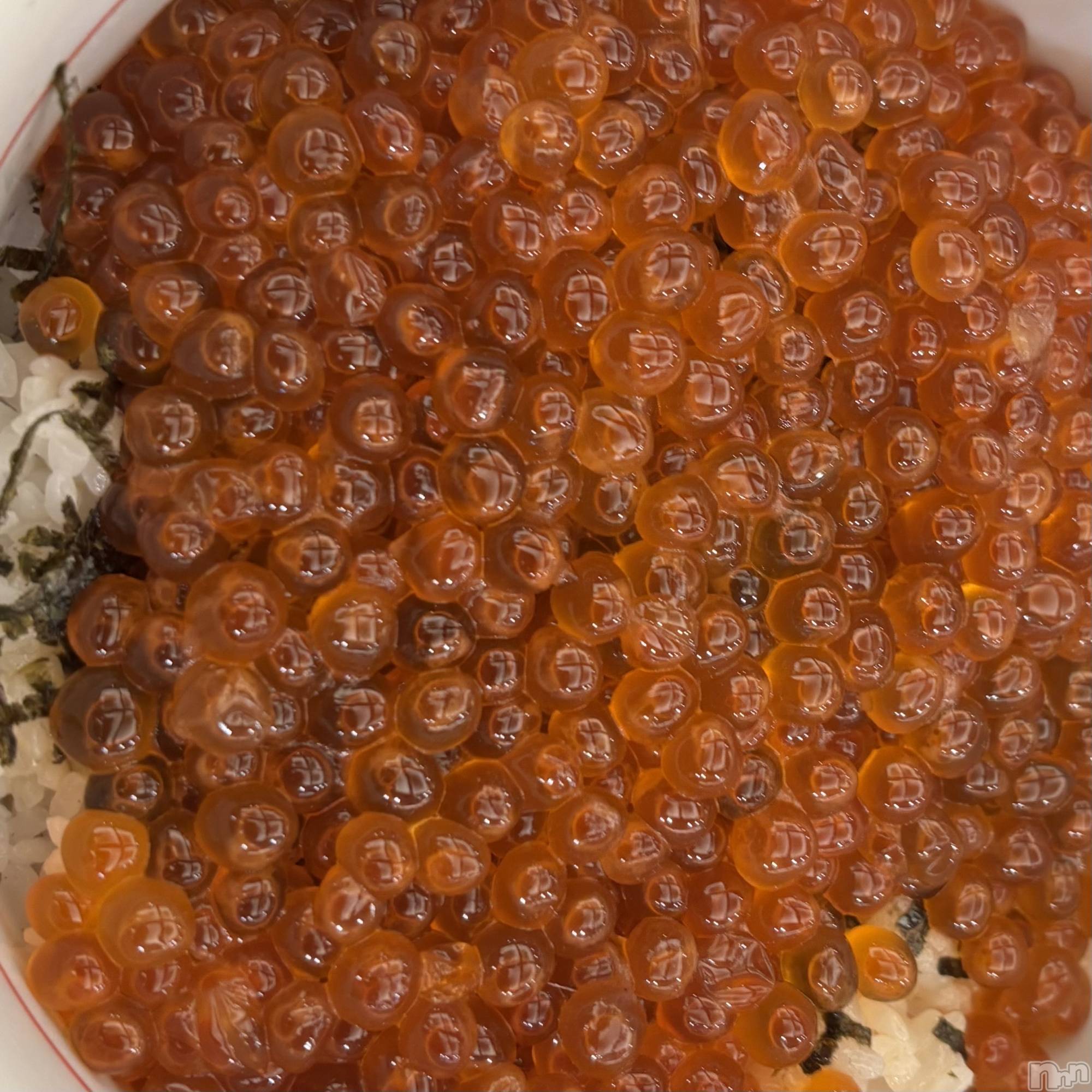 ʥå륺С󥻥ץȥե ˤޤ(󥻥ץȥե˥ޥ륭奦ǥ) 2025ǯ1124̥֥1124 2332ʬΥ֥