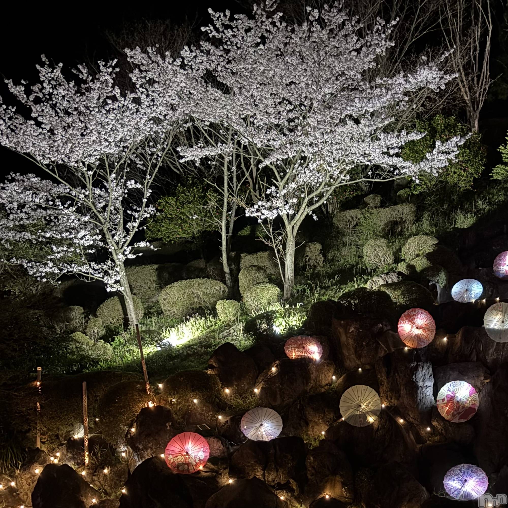 ����������ʥå��������륺�С����󥻥ץȥ��ե� ���ˤޤ����(���󥻥ץȥ��ե����˥ޥ륭�奦�ǥ�) ��2026ǯ4��17���̥�֥�����4��17�� 20��43ʬ�Υ֥�����