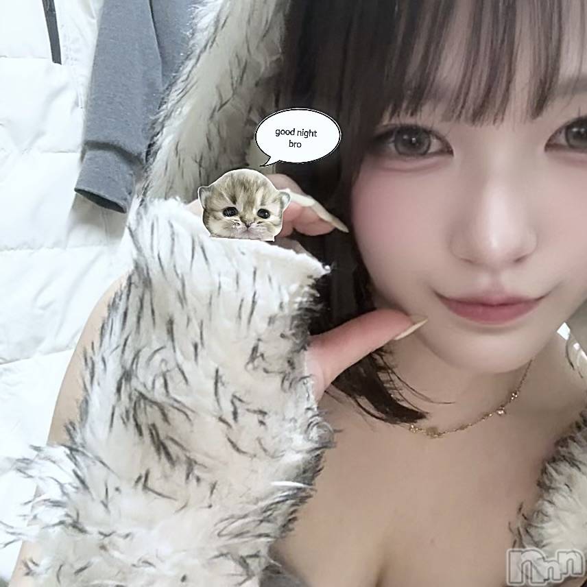 ����������ʥå��������륺�С����󥻥ץȥ��ե� ���ˤޤ����(���󥻥ץȥ��ե����˥ޥ륭�奦�ǥ�) ��2026ǯ5��3���̥�֥�����5��3�� 20��13ʬ�Υ֥�����