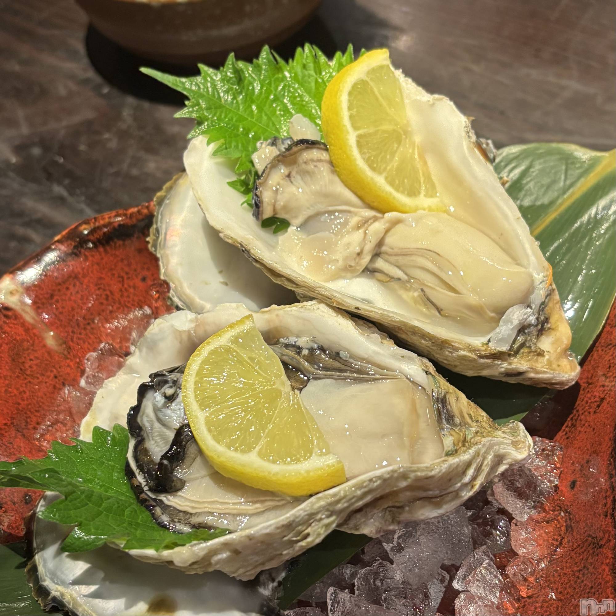 ����������ʥå��������륺�С����󥻥ץȥ��ե� ���ˤޤ����(���󥻥ץȥ��ե����˥ޥ륭�奦�ǥ�) ��2026ǯ5��10���̥�֥�����5��10�� 23��01ʬ�Υ֥�����