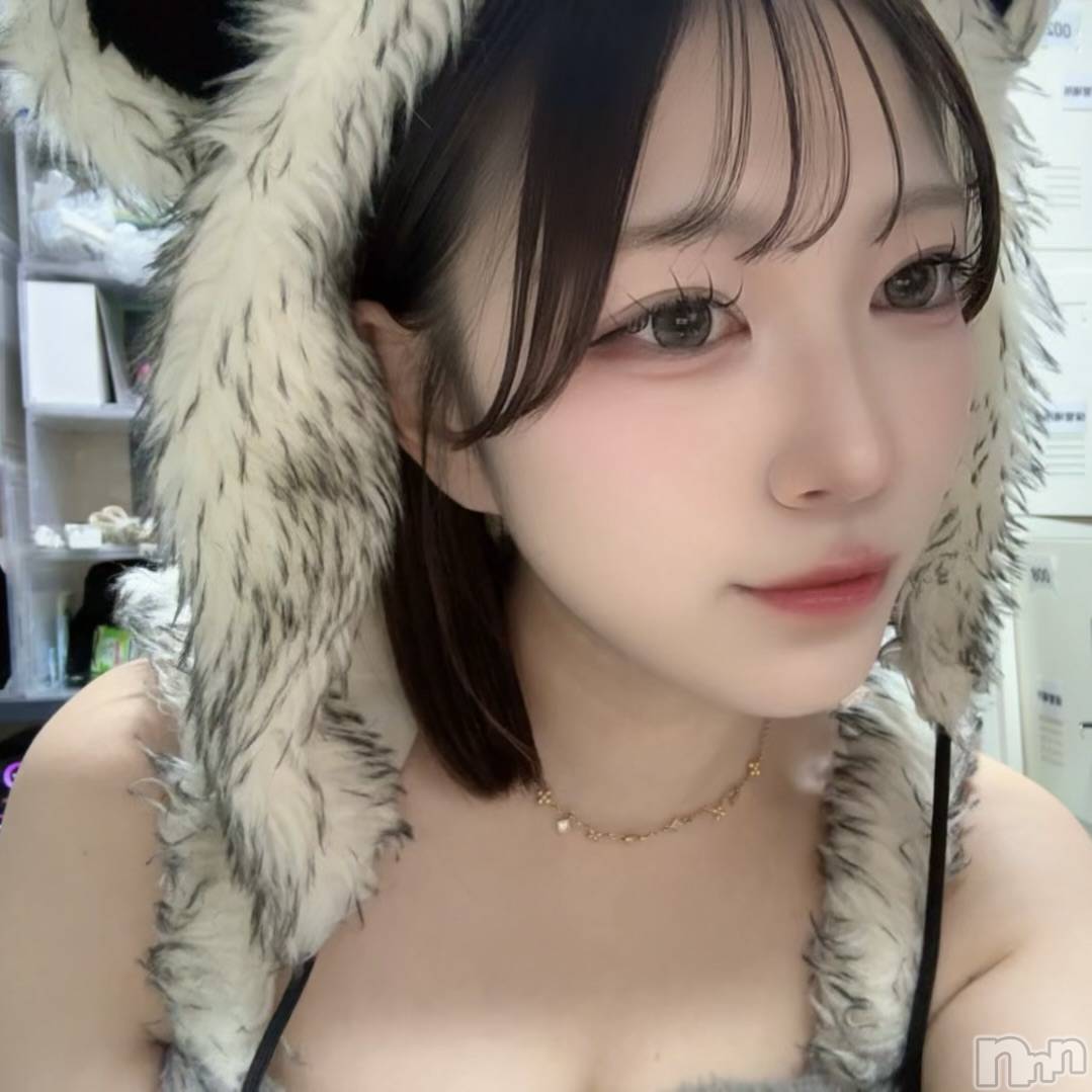����������ʥå��������륺�С����󥻥ץȥ��ե� ���ˤޤ����(���󥻥ץȥ��ե����˥ޥ륭�奦�ǥ�) ��2026ǯ6��20���̥�֥����֤�������