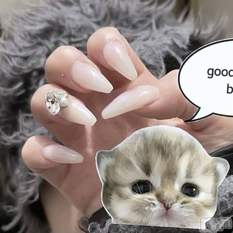 ����������ʥå��������륺�С����󥻥ץȥ��ե� ���ˤޤ����(���󥻥ץȥ��ե����˥ޥ륭�奦�ǥ�) ��2026ǯ10��10���̥�֥�����10��10�� 22��21ʬ�Υ֥�����