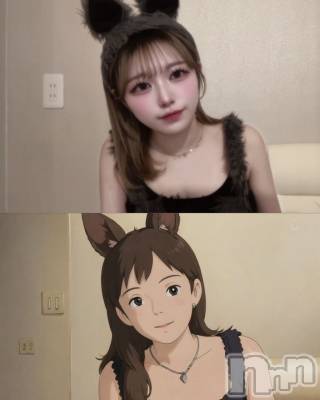 ʥå륺С󥻥ץȥե ˤޤ(󥻥ץȥե˥ޥ륭奦ǥ) ʤ48̥֥48 2216ʬΥ֥