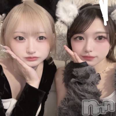 ʥå륺С󥻥ץȥե ˤޤ(󥻥ץȥե˥ޥ륭奦ǥ) ʤ527̥֥527 2241ʬΥ֥
