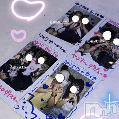 ʥå륺С󥻥ץȥե ˤޤ(󥻥ץȥե˥ޥ륭奦ǥ) ʤ618̥֥618 1702ʬΥ֥