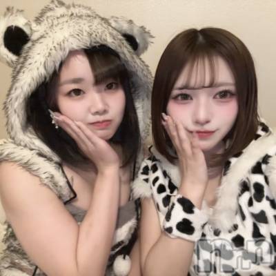 ʥå륺С󥻥ץȥե ˤޤ(󥻥ץȥե˥ޥ륭奦ǥ) ʤ1114̥֥1114 2340ʬΥ֥