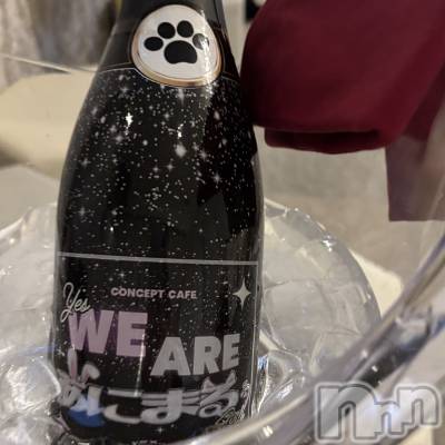 ����������ʥå��������륺�С����󥻥ץȥ��ե� ���ˤޤ����(���󥻥ץȥ��ե����˥ޥ륭�奦�ǥ�) ��ʤ�3��1���̥�֥�����3��1�� 03��33ʬ�Υ֥�����