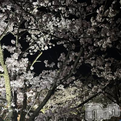 ����������ʥå��������륺�С����󥻥ץȥ��ե� ���ˤޤ����(���󥻥ץȥ��ե����˥ޥ륭�奦�ǥ�) ��ʤ�4��9���̥�֥�����4��9�� 01��01ʬ�Υ֥�����