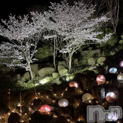 ����������ʥå��������륺�С����󥻥ץȥ��ե� ���ˤޤ����(���󥻥ץȥ��ե����˥ޥ륭�奦�ǥ�) ��ʤ�4��17���̥�֥�����4��17�� 20��43ʬ�Υ֥�����