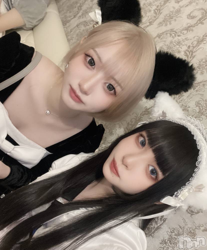 ʥå륺С󥻥ץȥե ˤޤ(󥻥ץȥե˥ޥ륭奦ǥ) Ҥʤ521̥֥521 2133ʬΥ֥
