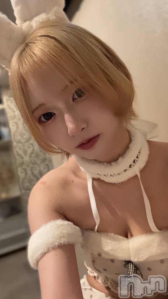 ʥå륺С󥻥ץȥե ˤޤ(󥻥ץȥե˥ޥ륭奦ǥ) Ҥʤ524̥֥524 2235ʬΥ֥