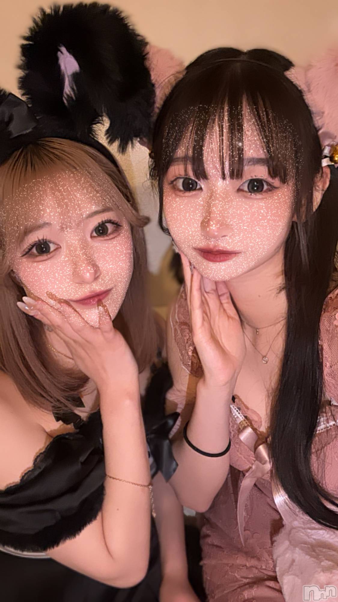ʥå륺С󥻥ץȥե ˤޤ(󥻥ץȥե˥ޥ륭奦ǥ) 2024ǯ1113̥֥֤ʤ🐰
