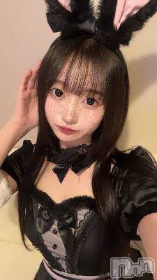 ʥå륺С󥻥ץȥե ˤޤ(󥻥ץȥե˥ޥ륭奦ǥ) Ҥʤ1023̥֥֤⡪
