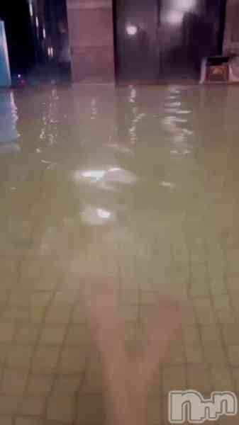 しなのの動画 今晩は🥰