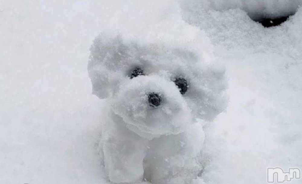 ȯѥ˥󥯥Companion Club COCO(ѥ˥󥯥֥) ߤʤ211̥֥֤⤦⛄️