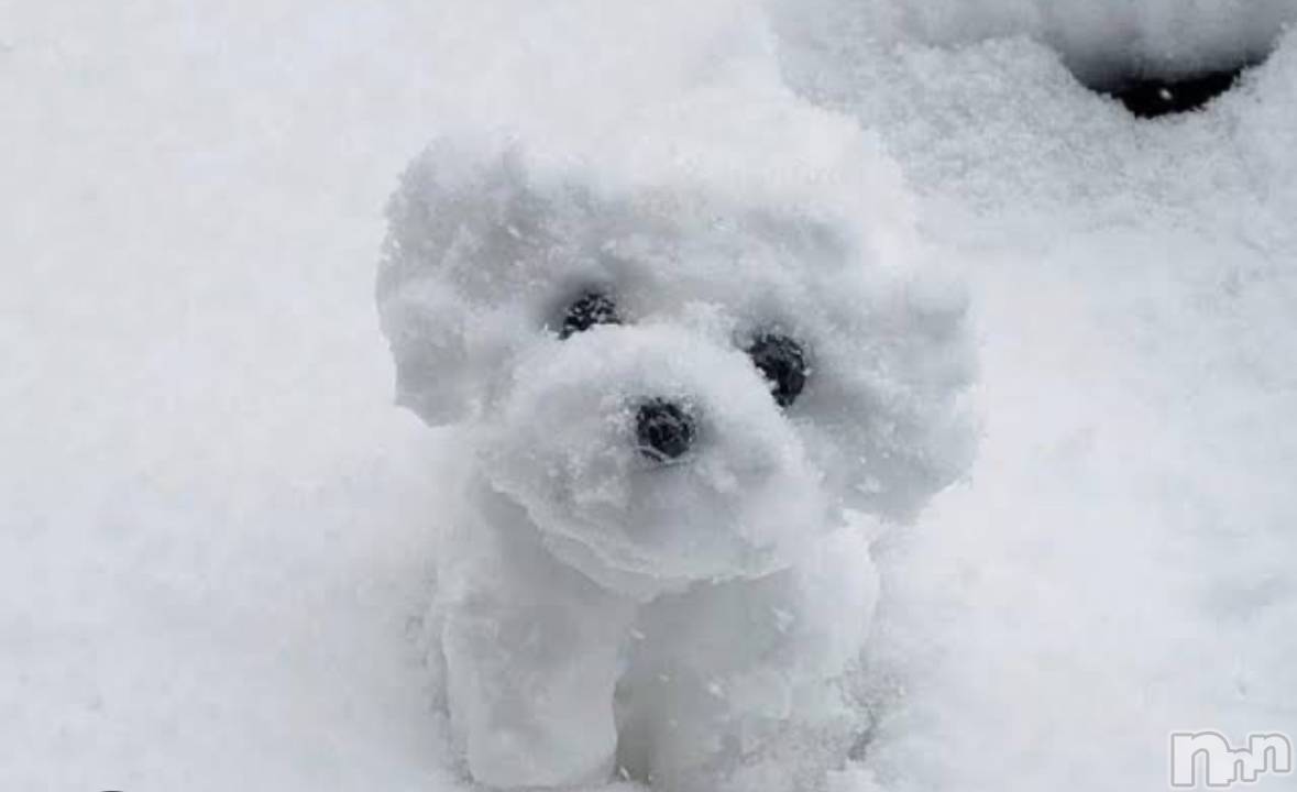 ȯѥ˥󥯥Companion Club COCO(ѥ˥󥯥֥) 2025ǯ211̥֥֤⤦⛄️