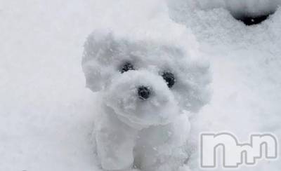 ȯѥ˥󥯥Companion Club COCO(ѥ˥󥯥֥) ߤʤ211̥֥֤⤦⛄️