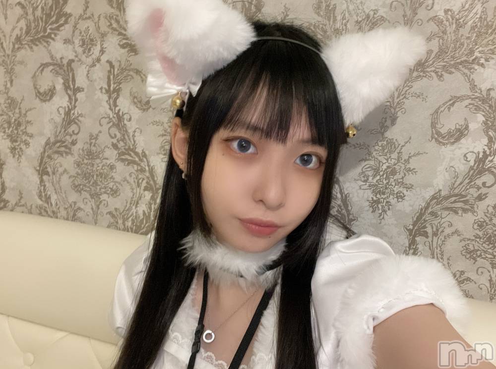 ʥå륺С󥻥ץȥե ˤޤ(󥻥ץȥե˥ޥ륭奦ǥ) 1024ֿ̥֥ˤˤ𓃠‪