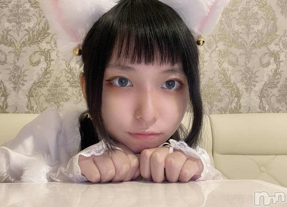 ʥå륺С󥻥ץȥե ˤޤ(󥻥ץȥե˥ޥ륭奦ǥ) 1029̥֥֤ޤˤ