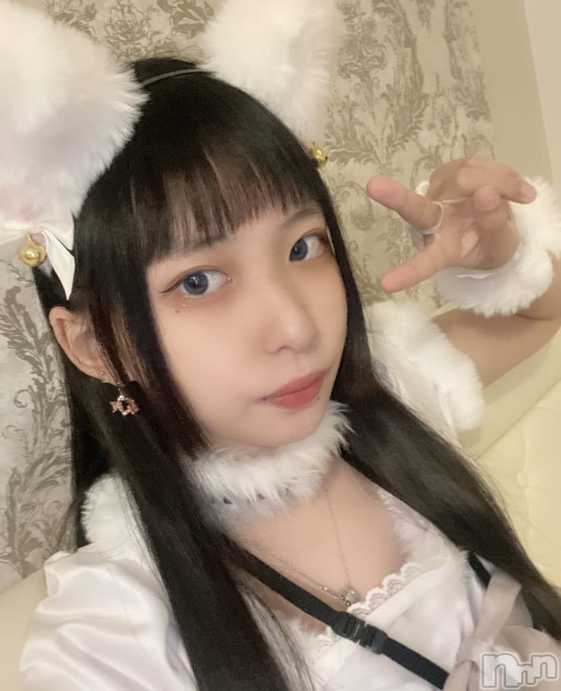 ʥå륺С󥻥ץȥե ˤޤ(󥻥ץȥե˥ޥ륭奦ǥ) 1031̥֥Ƥʤܤä㤦顪
