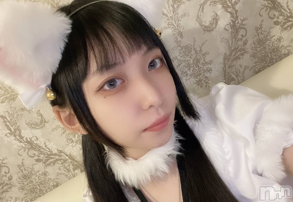 ʥå륺С󥻥ץȥե ˤޤ(󥻥ץȥե˥ޥ륭奦ǥ) 115̥֥֤ͤɤˤ㡼