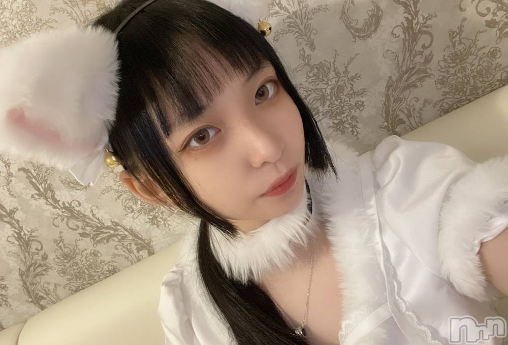 ʥå륺С󥻥ץȥե ˤޤ(󥻥ץȥե˥ޥ륭奦ǥ) 117̥֥֤ޤ󤫡