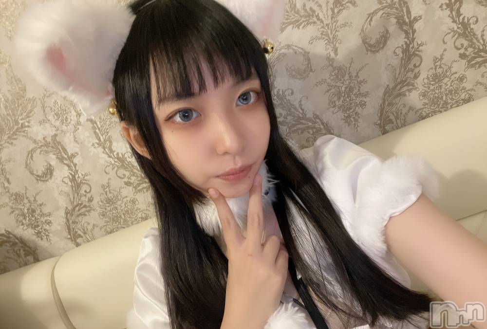 ʥå륺С󥻥ץȥե ˤޤ(󥻥ץȥե˥ޥ륭奦ǥ) 1112ֻ̥֥ǭ󤷤Ƥޤ