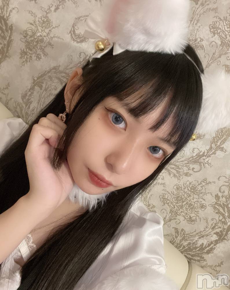 ʥå륺С󥻥ץȥե ˤޤ(󥻥ץȥե˥ޥ륭奦ǥ) 1114ֲ̥֥ˤˤ㡼