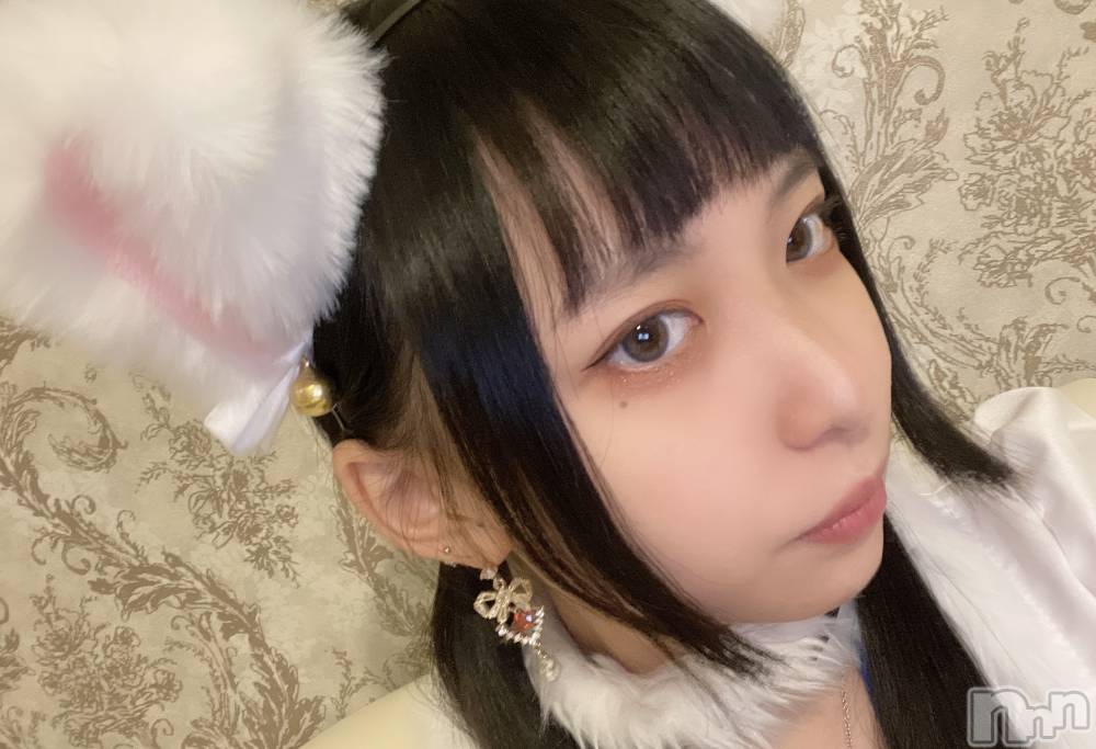 ʥå륺С󥻥ץȥե ˤޤ(󥻥ץȥե˥ޥ륭奦ǥ) 1122̥֥֤ʤǤʤԤ桪