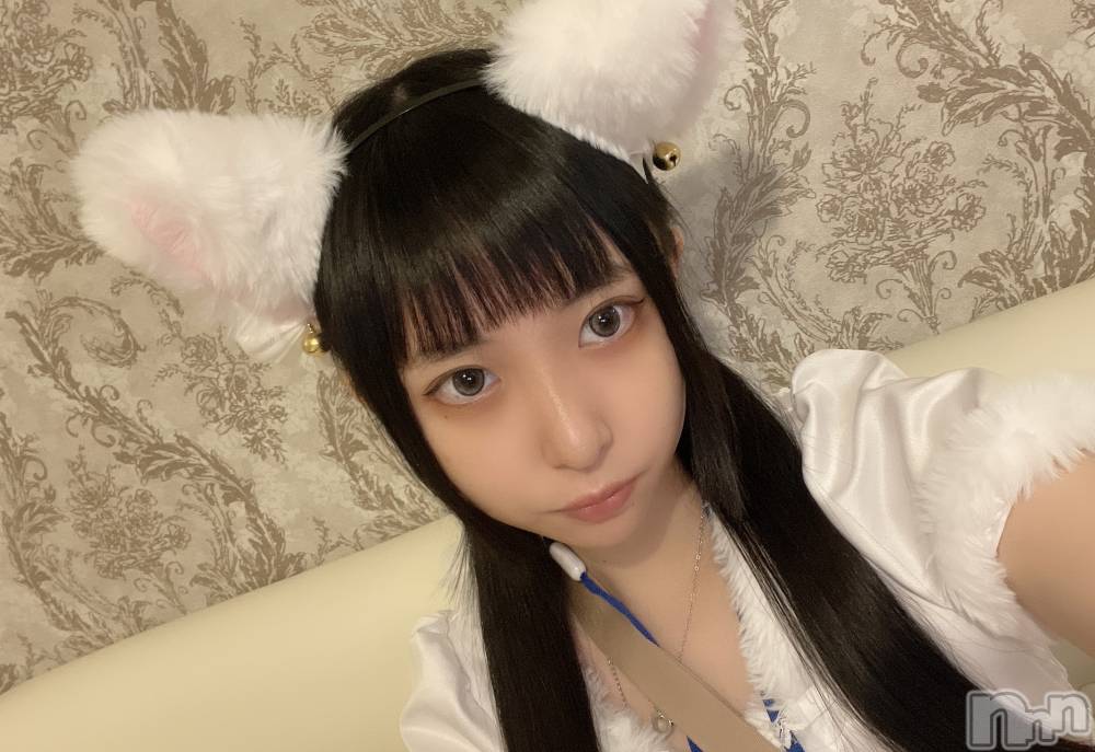 ʥå륺С󥻥ץȥե ˤޤ(󥻥ץȥե˥ޥ륭奦ǥ) 1128̥֥֤դդޤ󤫡