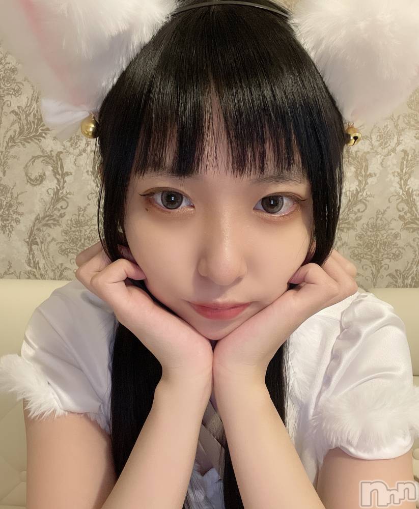 ʥå륺С󥻥ץȥե ˤޤ(󥻥ץȥե˥ޥ륭奦ǥ) 1130̥֥ԤäƤˤ