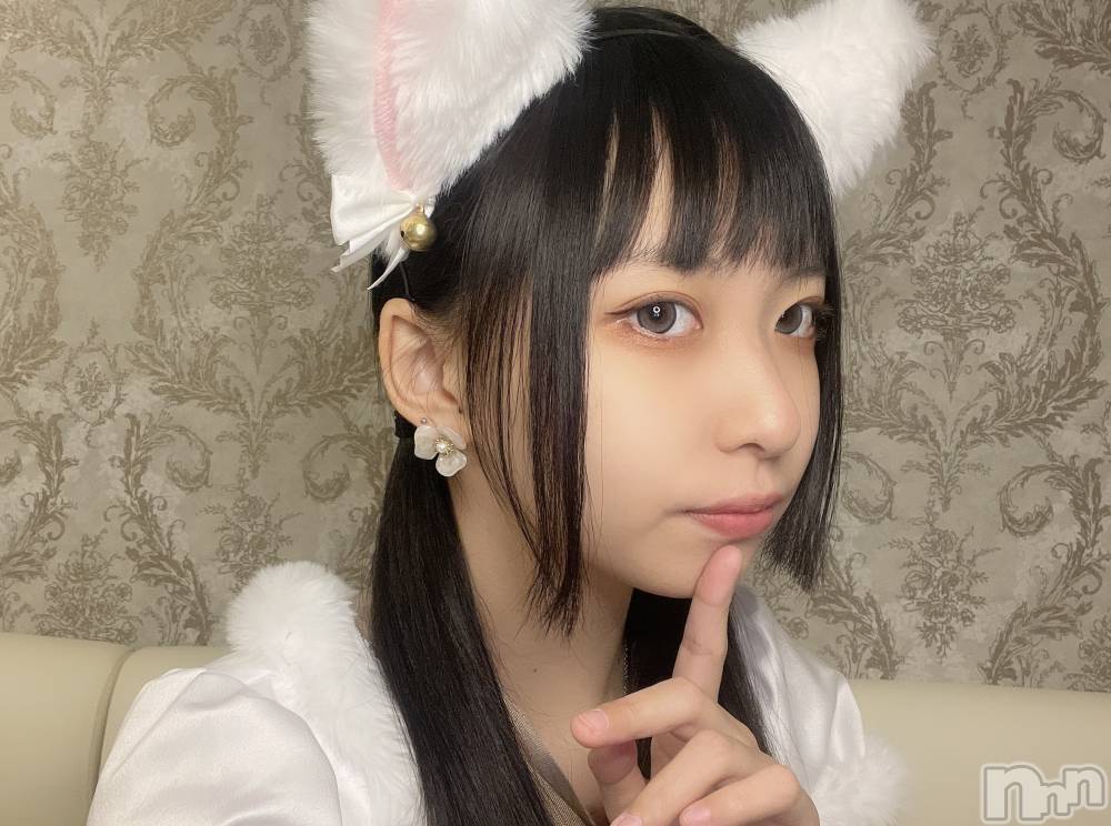 ʥå륺С󥻥ץȥե ˤޤ(󥻥ץȥե˥ޥ륭奦ǥ) 123̥֥2̩ͤ...