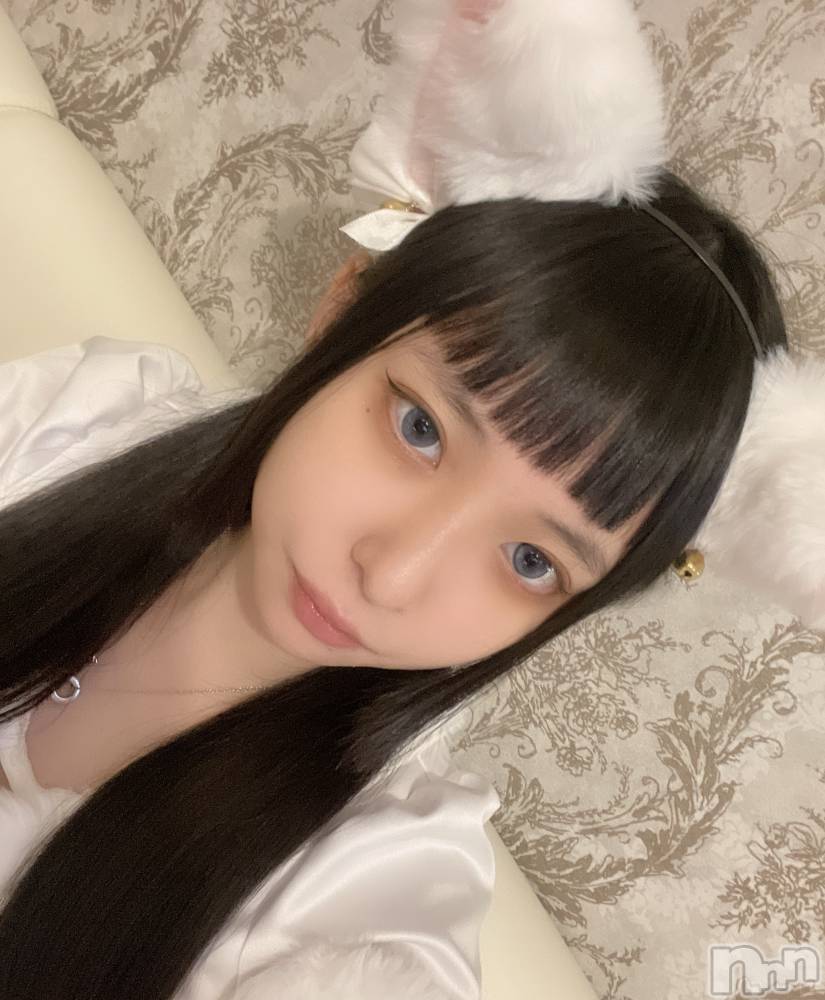 ʥå륺С󥻥ץȥե ˤޤ(󥻥ץȥե˥ޥ륭奦ǥ) 1213̥֥褷