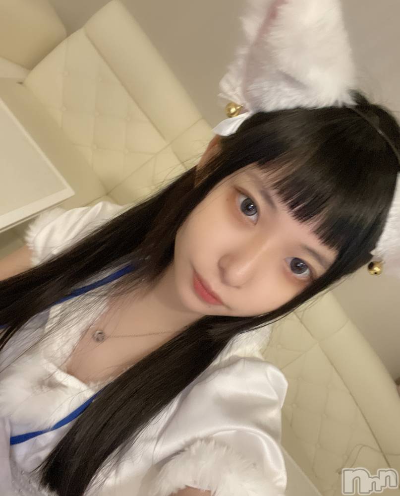 ʥå륺С󥻥ץȥե ˤޤ(󥻥ץȥե˥ޥ륭奦ǥ) 1219ִ̥֥ˤ