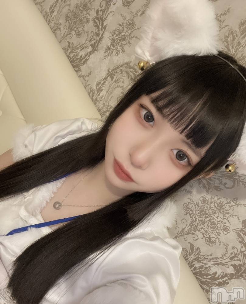 ʥå륺С󥻥ץȥե ˤޤ(󥻥ץȥե˥ޥ륭奦ǥ) 15̥֥֤ˤ󤻤ϸ( >﹏< *)