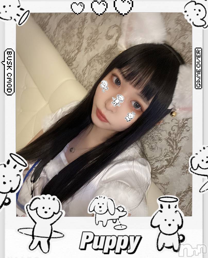 ʥå륺С󥻥ץȥե ˤޤ(󥻥ץȥե˥ޥ륭奦ǥ) 16̥֥֤ˤ㡼