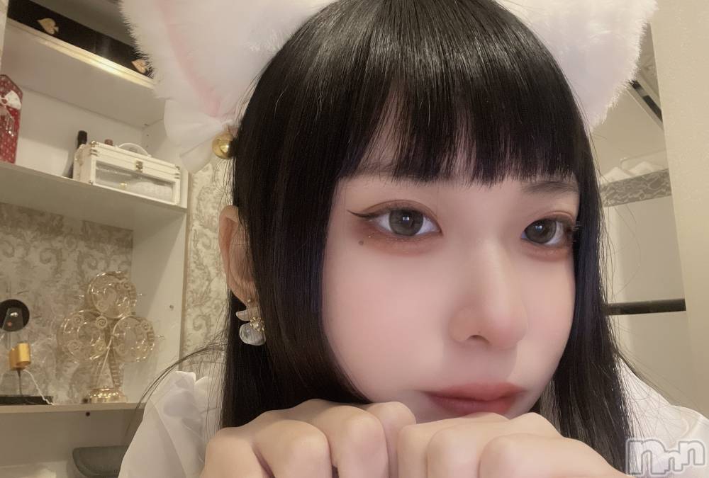 ʥå륺С󥻥ץȥե ˤޤ(󥻥ץȥե˥ޥ륭奦ǥ) 112̥֥֤ˤ