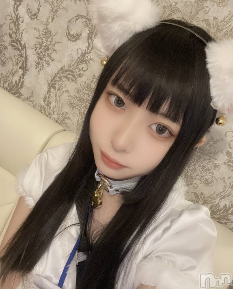 ʥå륺С󥻥ץȥե ˤޤ(󥻥ץȥե˥ޥ륭奦ǥ) 122ֿ̥֥ߤˤ