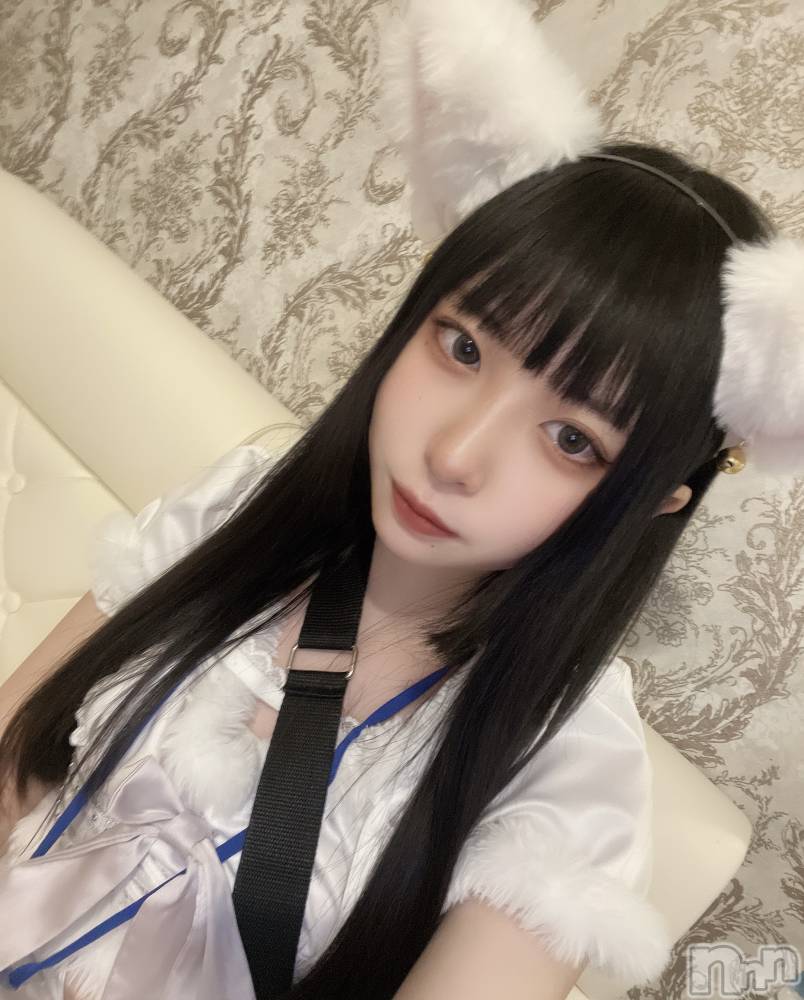 ʥå륺С󥻥ץȥե ˤޤ(󥻥ץȥե˥ޥ륭奦ǥ) 21̥֥ʣ
