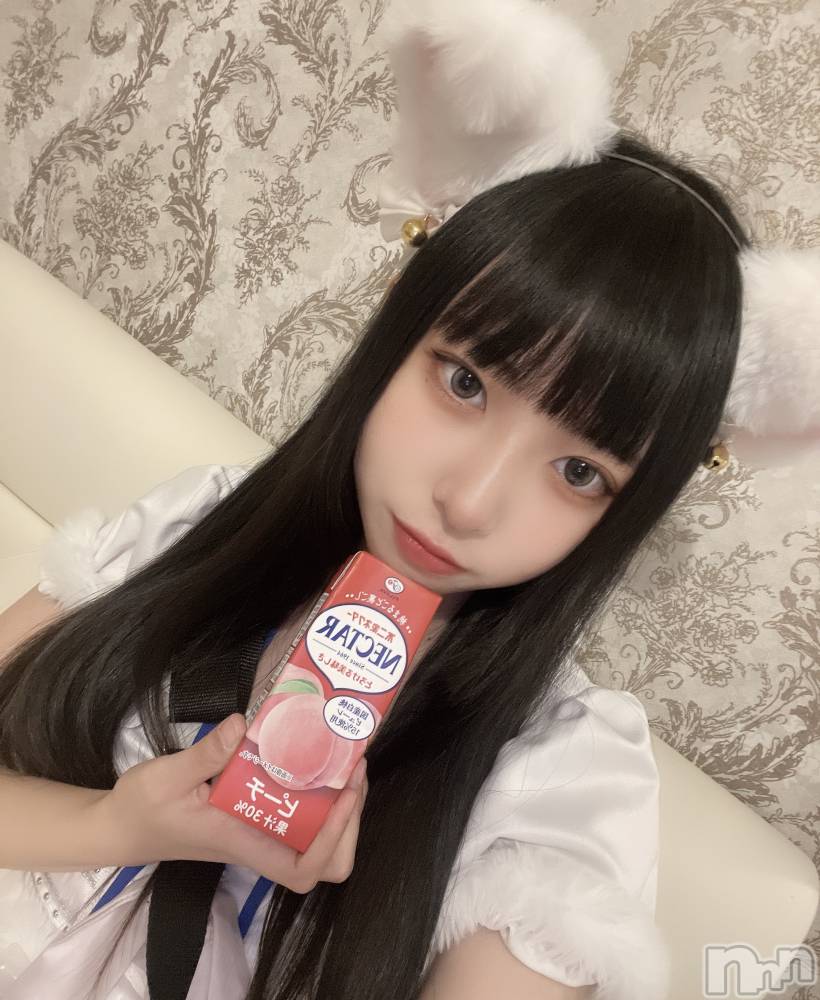 ʥå륺С󥻥ץȥե ˤޤ(󥻥ץȥե˥ޥ륭奦ǥ) 22̥֥֤äΡ