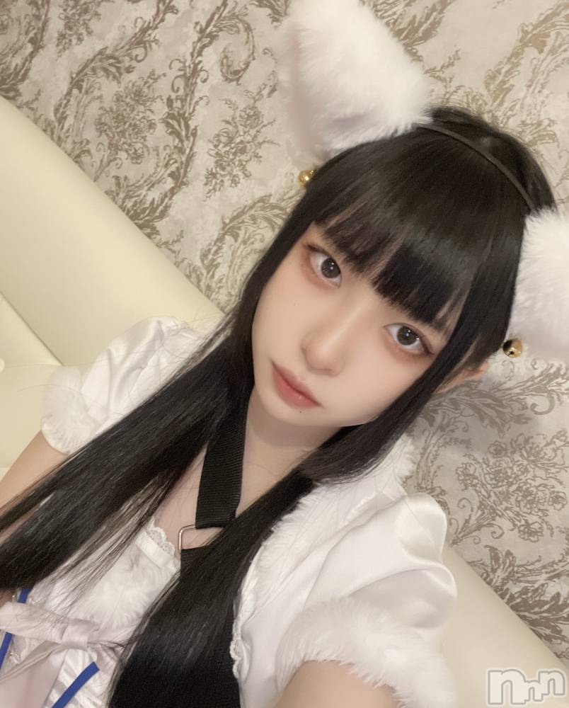 ʥå륺С󥻥ץȥե ˤޤ(󥻥ץȥե˥ޥ륭奦ǥ) 27̥֥֤व(߹꒳​߹ )
