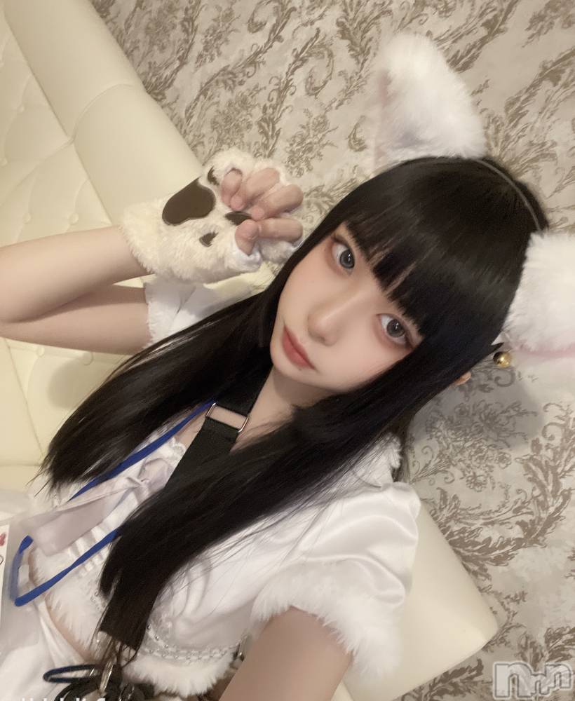 ʥå륺С󥻥ץȥե ˤޤ(󥻥ץȥե˥ޥ륭奦ǥ) 215ֳ̥֥ڤäˤ